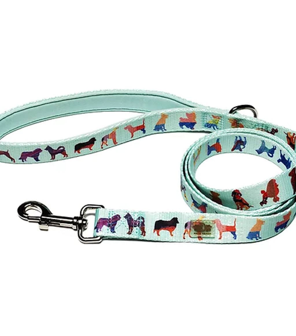 Polyester Dog Leash in Seafoam or Pink, 5 Feet