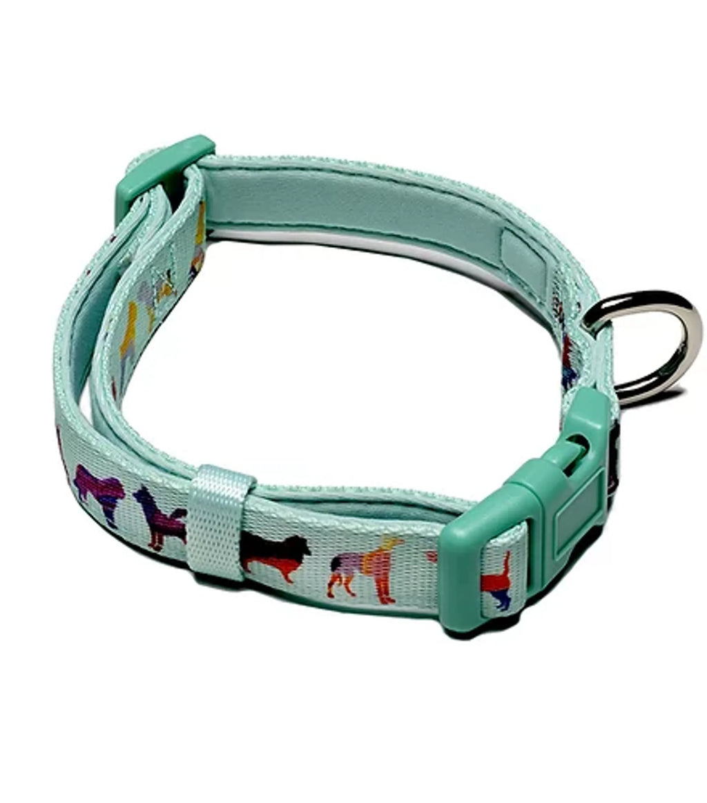 Adjustable Dog Collar in Seafoam or Pink, Small to Large