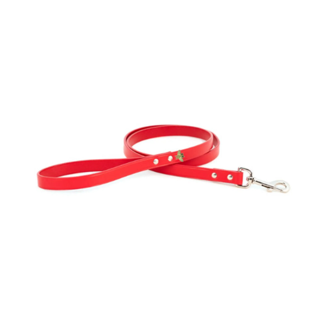 Bark Fifth Avenue Bee Mine Dog Leash with Gold Bee Charm, Red