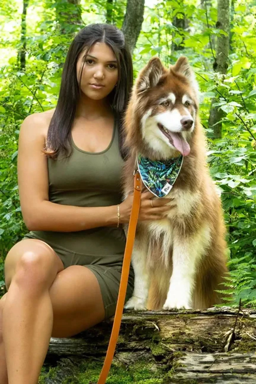 Aria the Fox Sierra Sunrise Vegan Leather Dog Collar, Reddish Brown