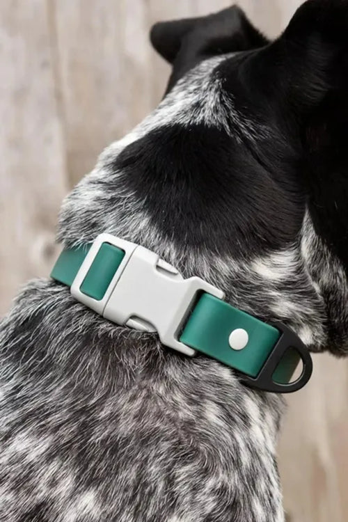 Aria the Fox Siberian Spruce Waterproof Dog Collar with D-Ring