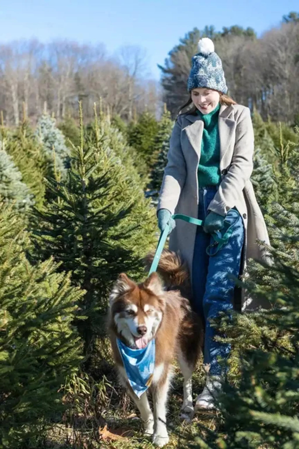 Aria the Fox Siberian Spruce Waterproof Dog Collar with D-Ring