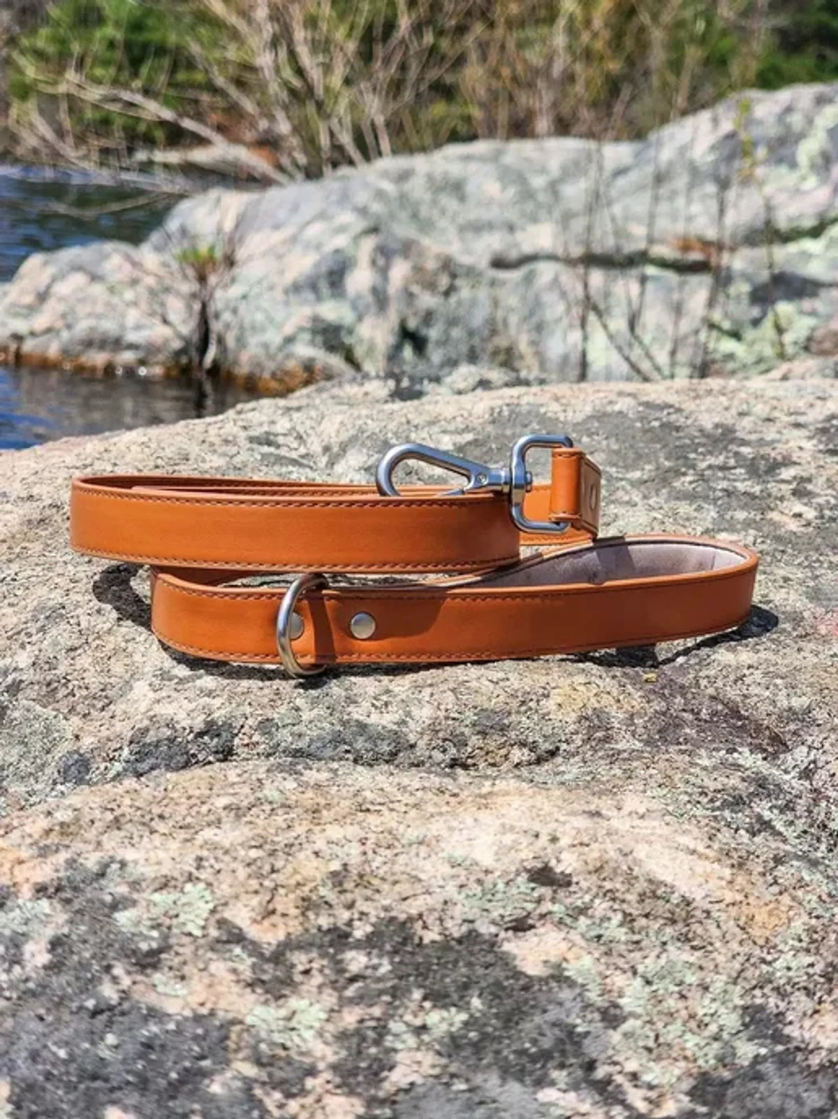 Aria the Fox Sierra Sunrise Vegan Leather Dog Leash, Reddish Brown