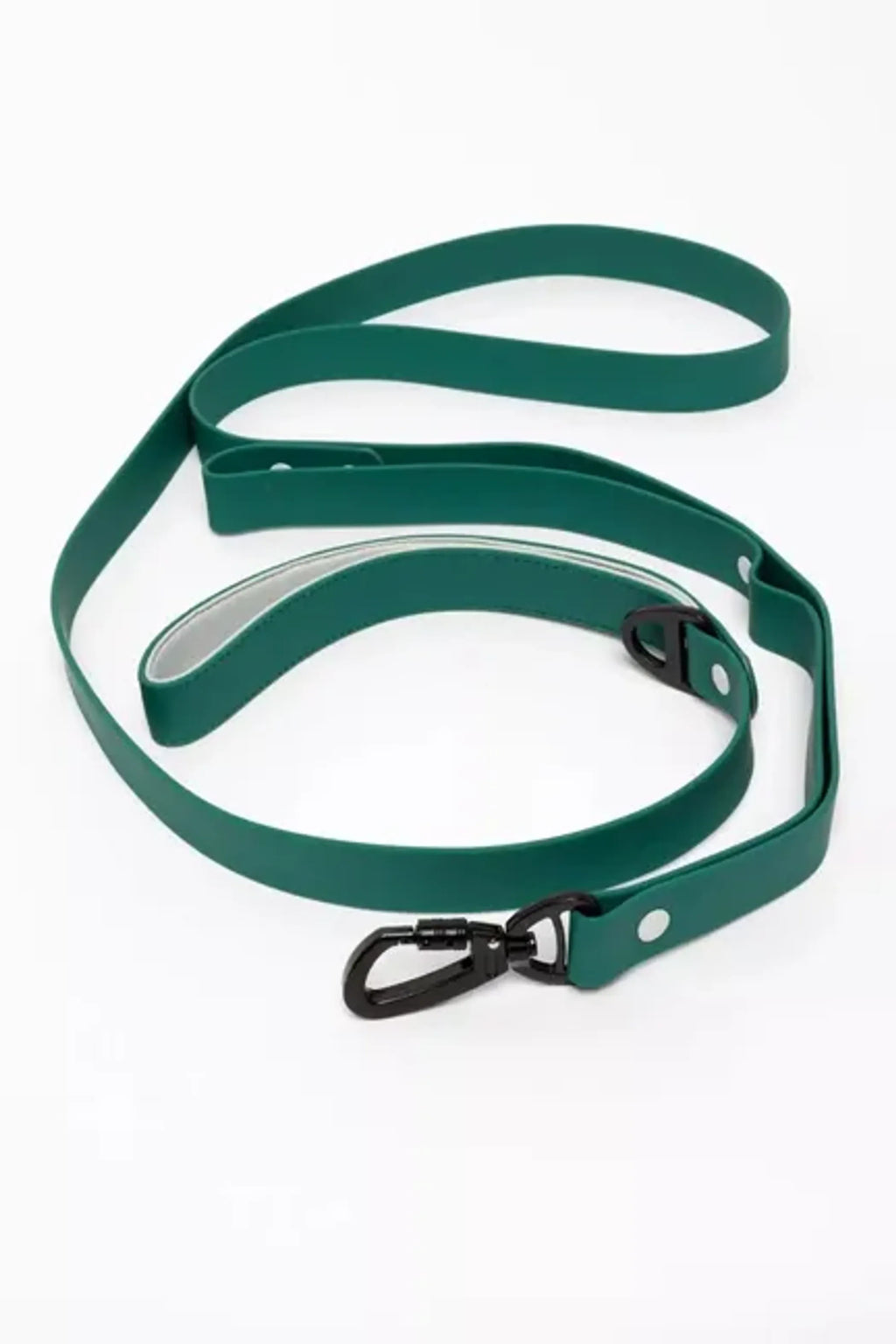 Aria the Fox Siberian Spruce Waterproof Dog Leash, 6 Feet