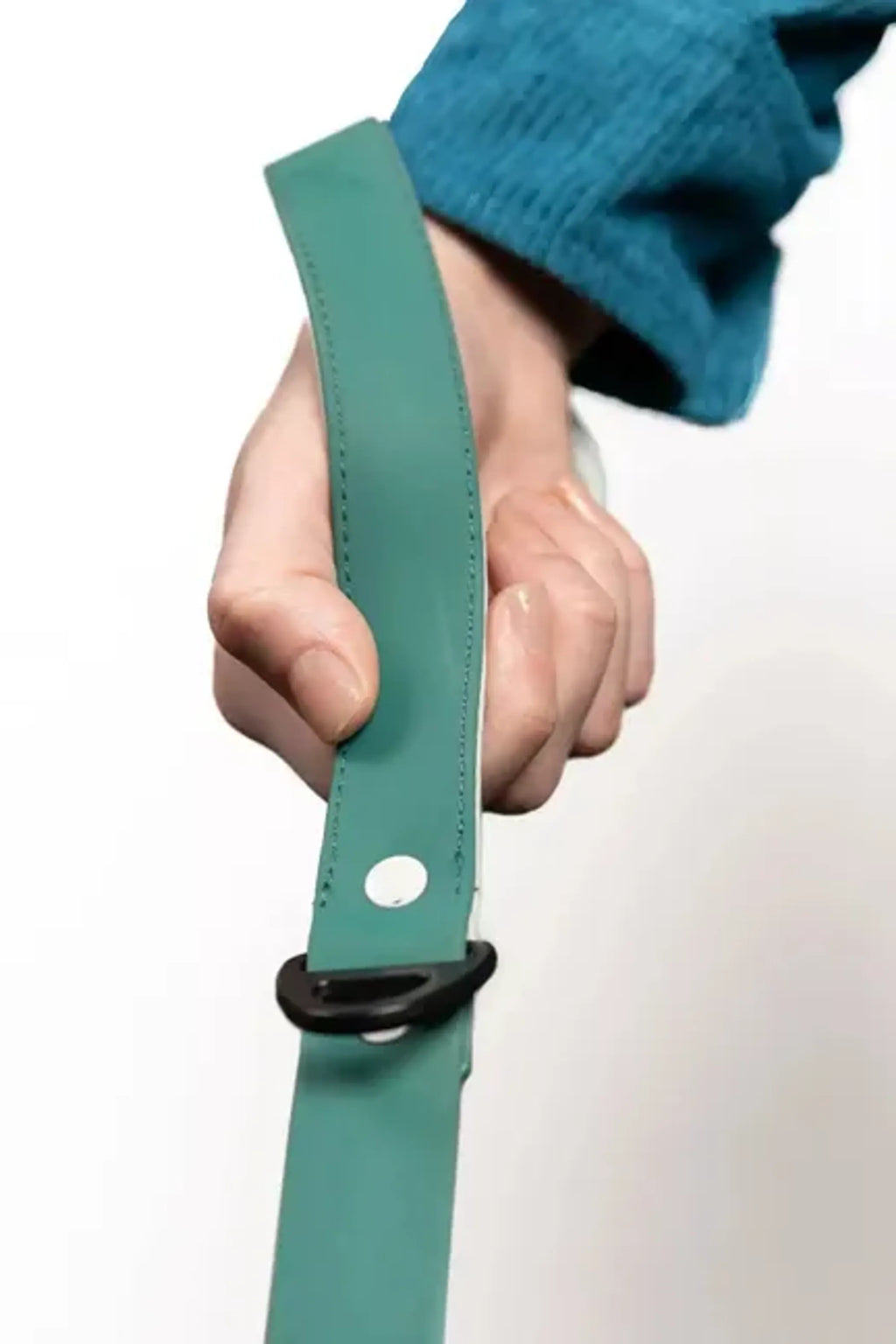 Aria the Fox Siberian Spruce Waterproof Dog Leash, 6 Feet