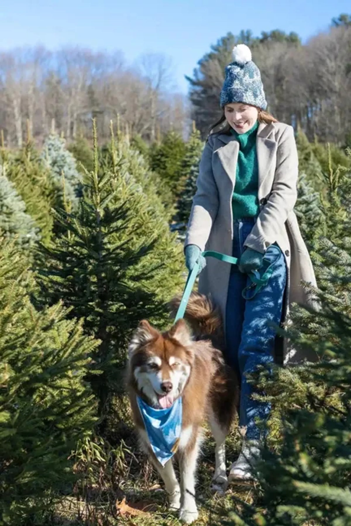 Aria the Fox Siberian Spruce Waterproof Dog Leash, 6 Feet