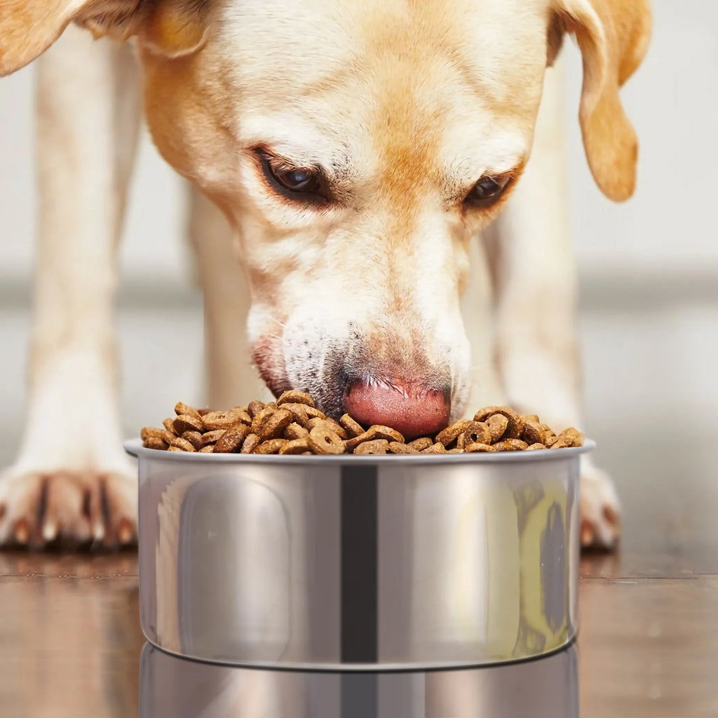 Stainless Steel Hanging Crate Bowl with Clamp, Medium