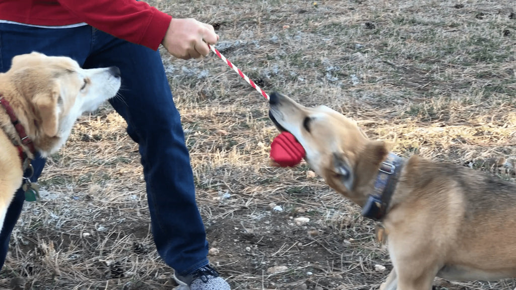 SodaPup Heart on a String Rubber Tug Toy for Large Dogs, Red
