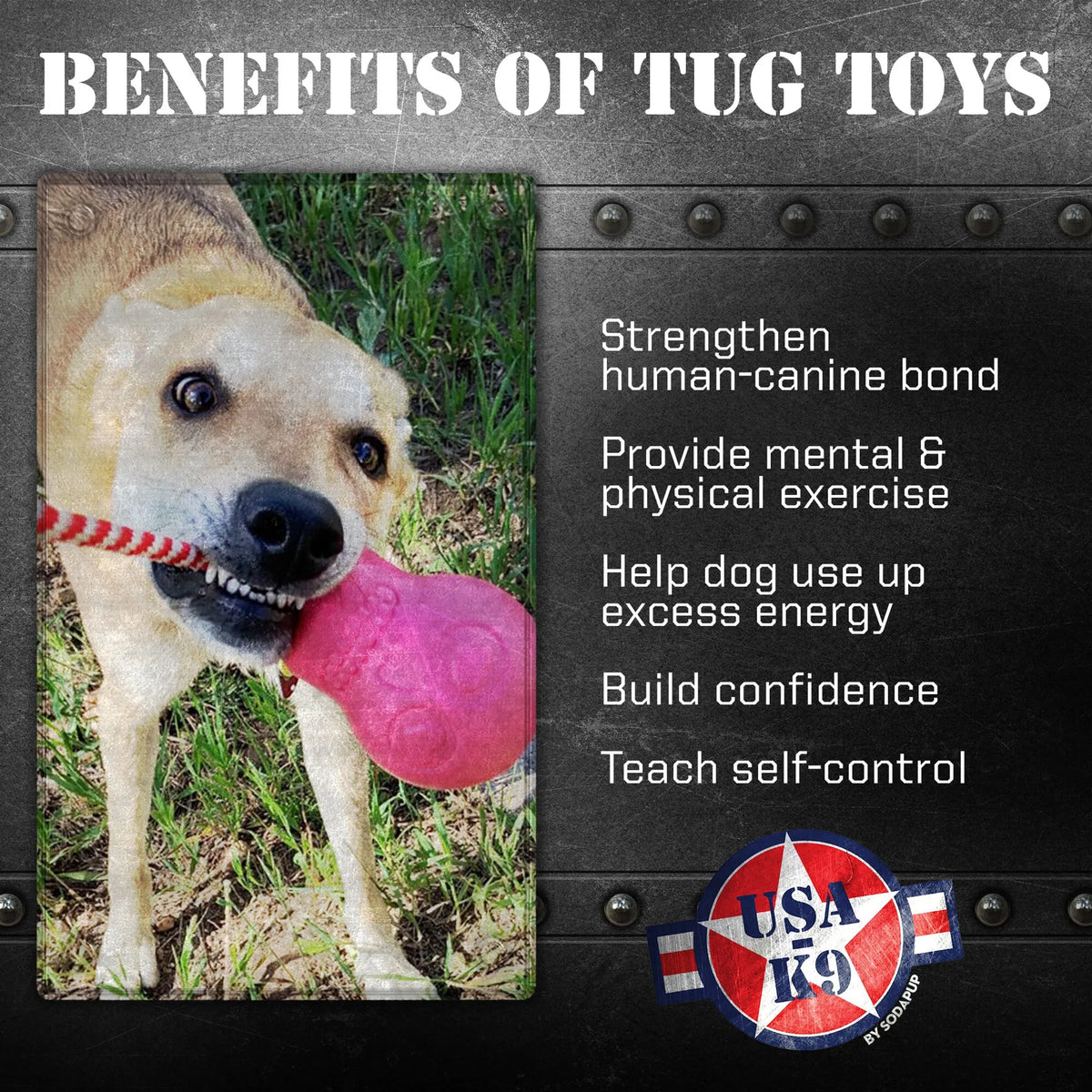 SodaPup USA-K9 Skull Rubber Chew and Treat Toy, Pink, Large