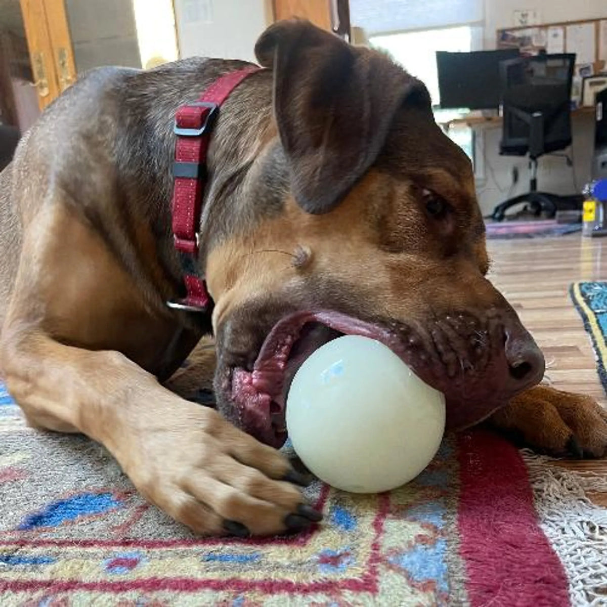 SodaPup PUP-X 4" Glow-in-the-Dark Treat Ball